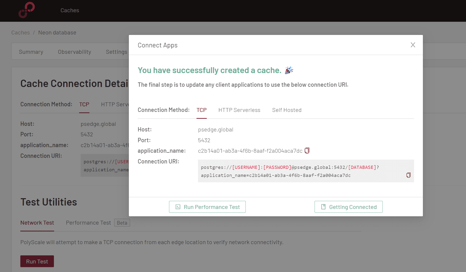 Create a PolyScale cache